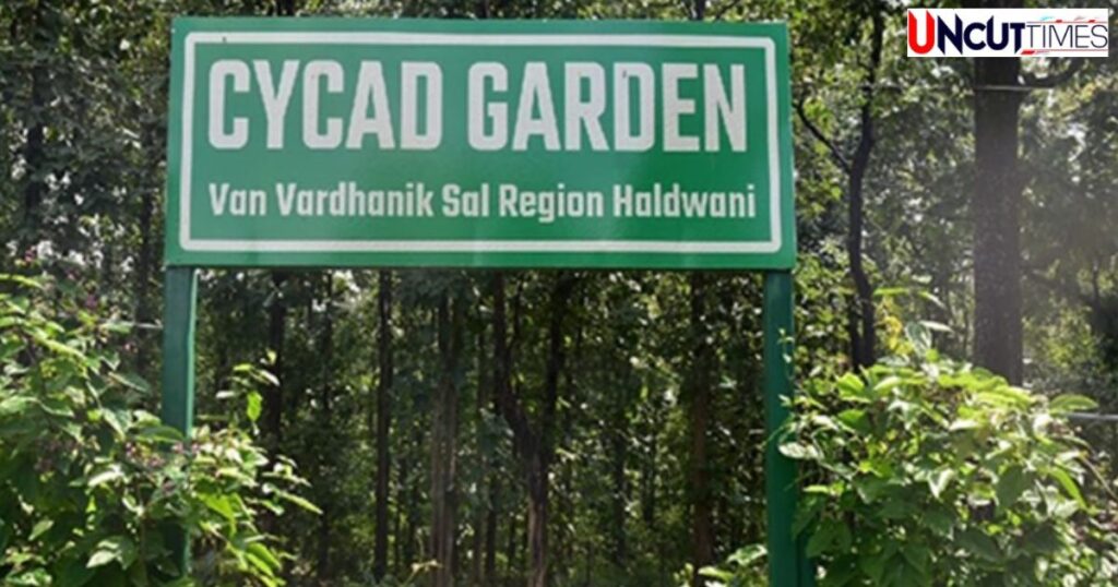 हल्द्वानी साइकैड गार्डन : उत्तराखंड में डायनासोर युग की हरियाली