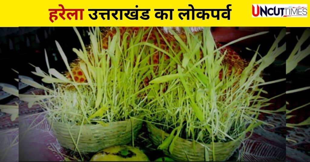 हरेला 2025 : उत्तराखंड में आज मनाया जा रहा पर्यावरण संरक्षण का लोकपर्व